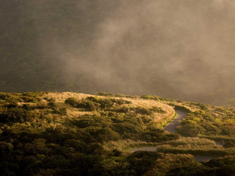 sudoku brain exercise